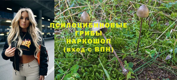 прущие крисы Алзамай
